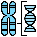 external chromosome-genetics-ddara-lineal-color-ddara icon