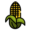 external corn-garden-and-farm-ddara-lineal-color-ddara icon