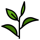 external green-tea-natural-scent-ddara-lineal-color-ddara icon