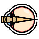 external vision-eye-ddara-lineal-color-ddara icon