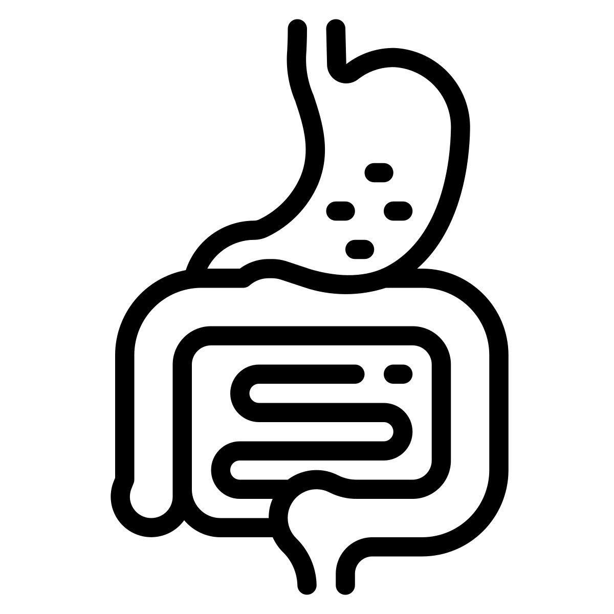 sistema digestivo icon
