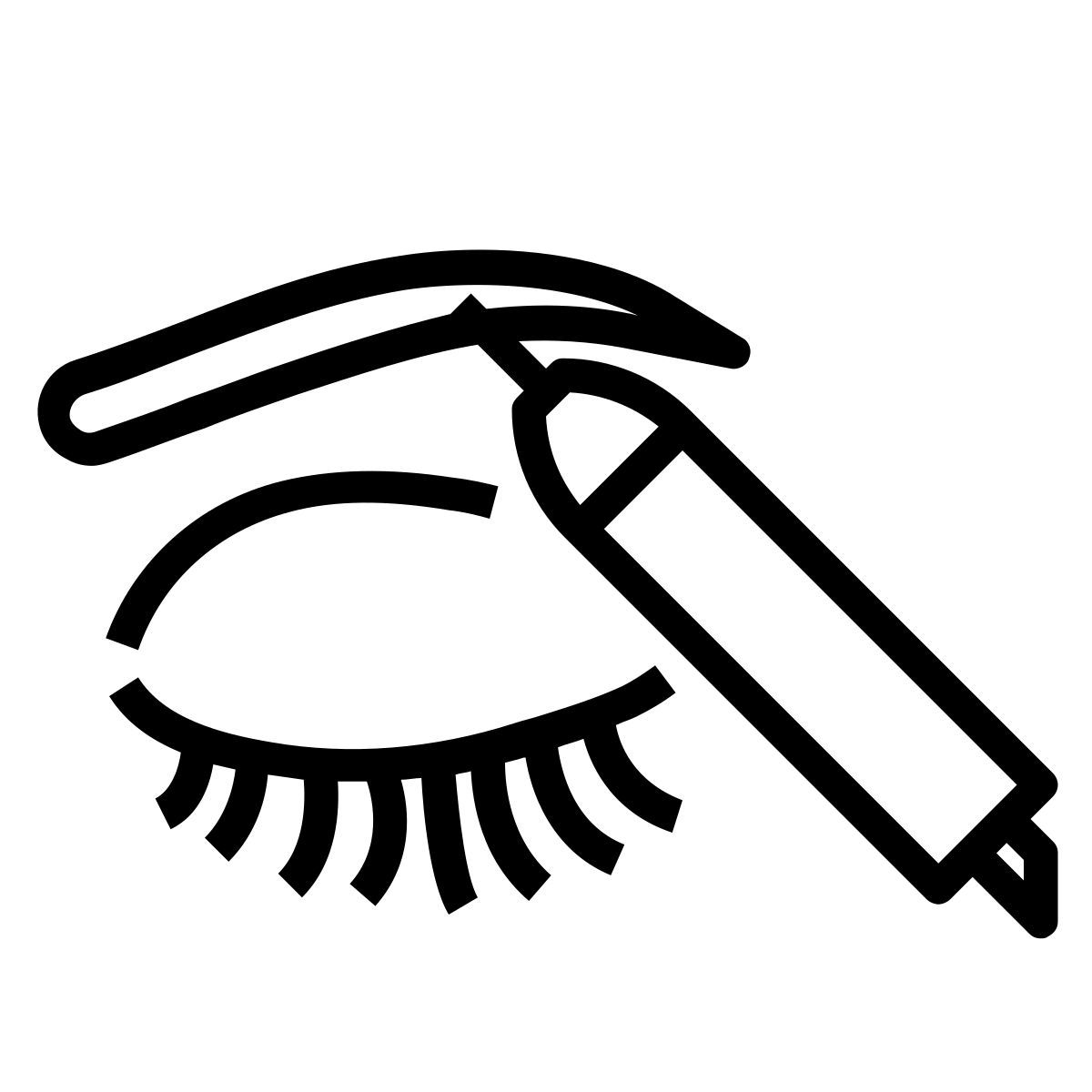 sourcil icon