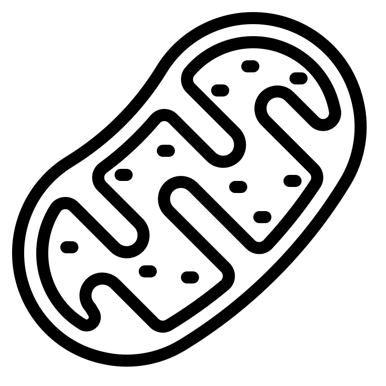 ミトコンドリア のイラスト Png Svg Gif