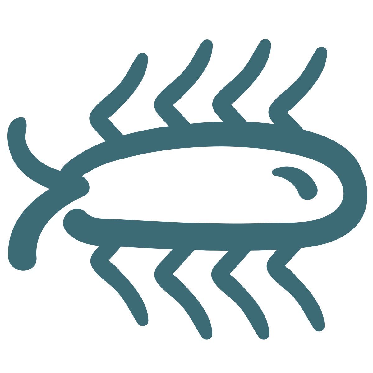 animal icon