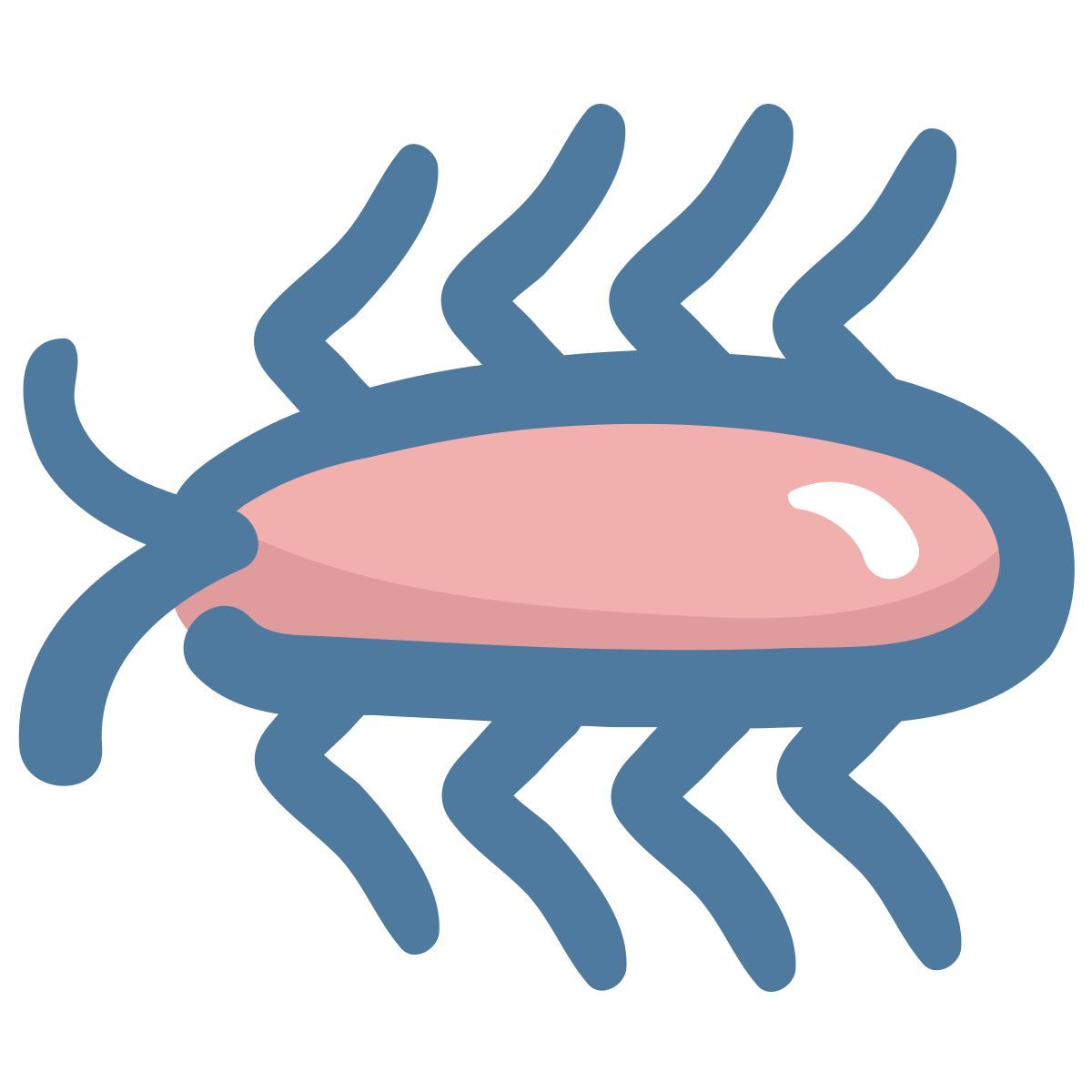 animal icon