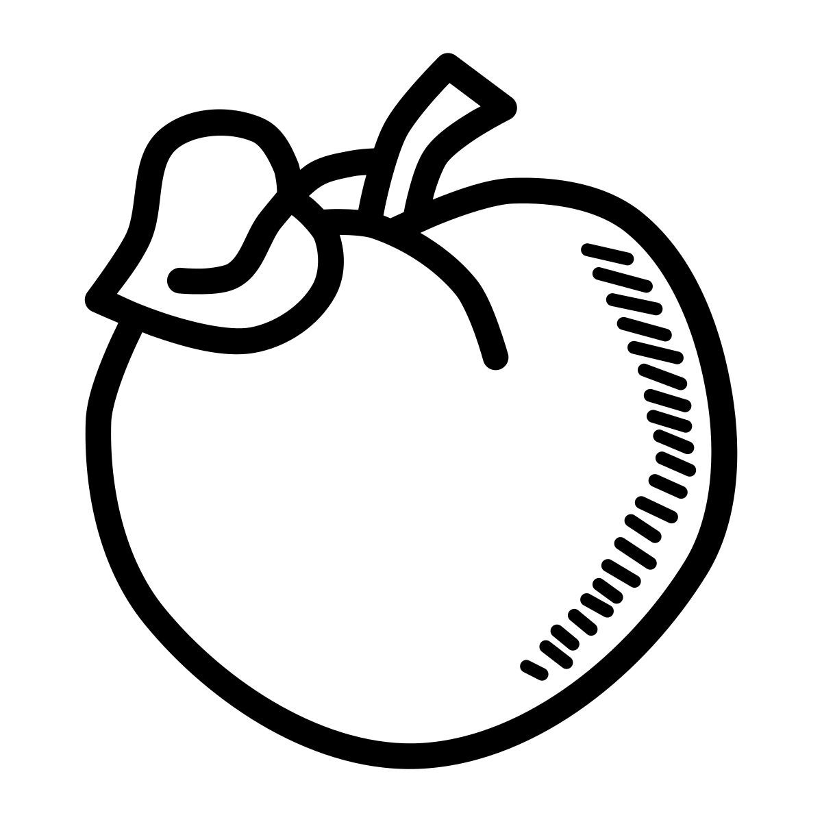 만다린 오렌지 icon