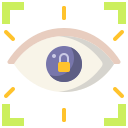 external eye-recognition-internet-security-dreamcreateicons-flat-dreamcreateicons-2 icon