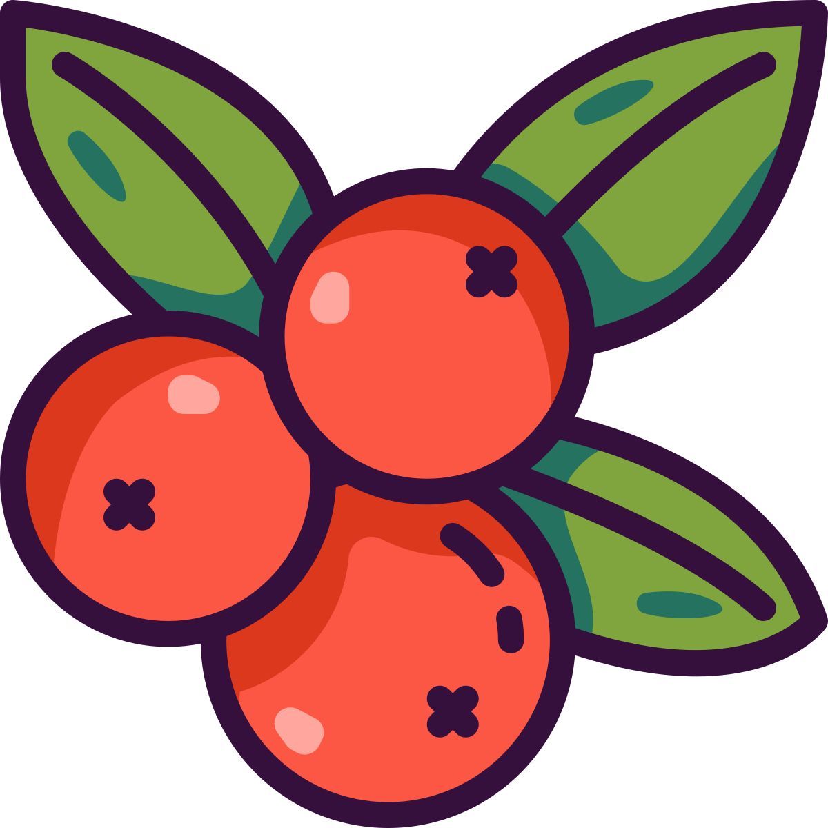 berries icon