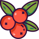 external berries-thanksgiving-dreamcreateicons-outline-color-dreamcreateicons-4 icon