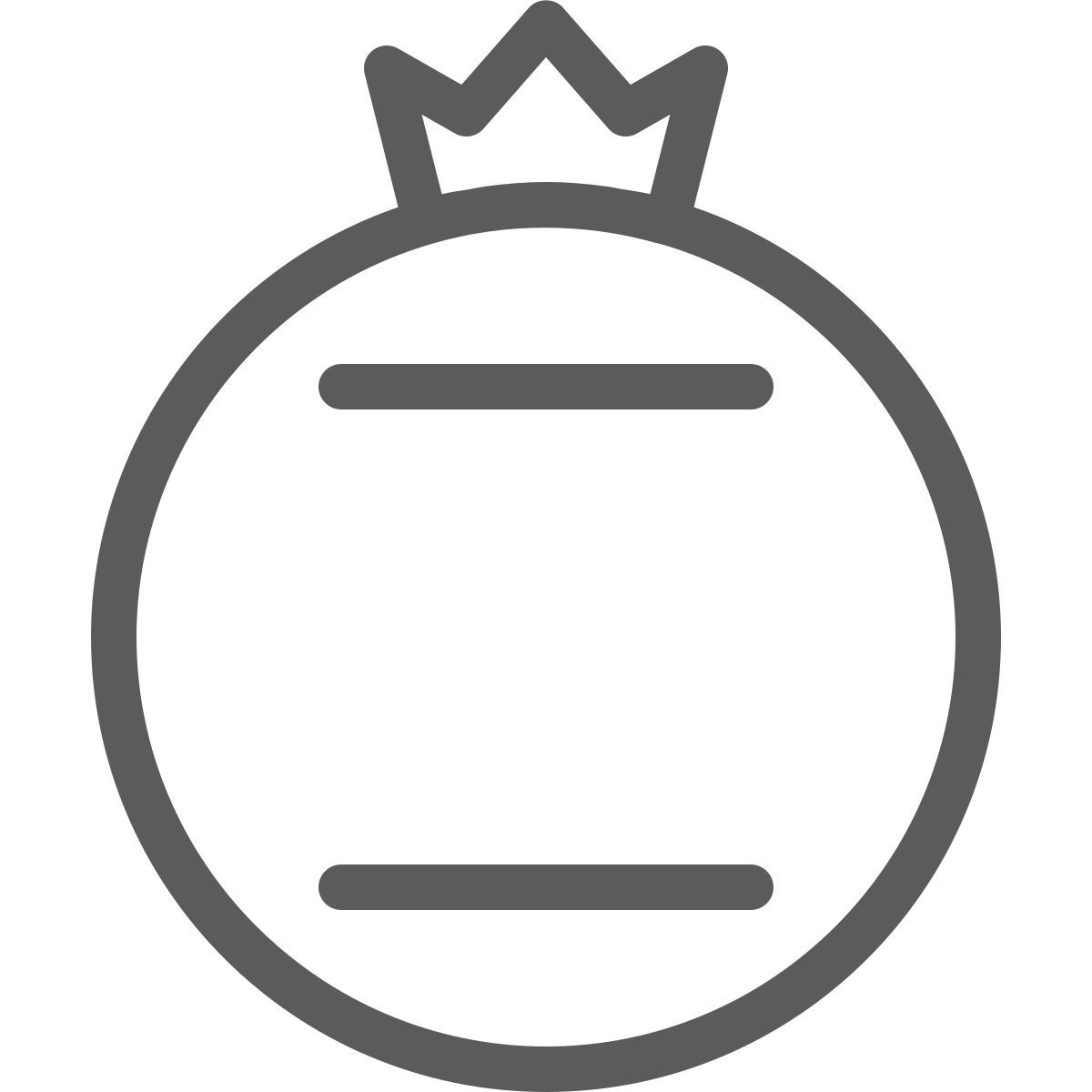 emblema icon