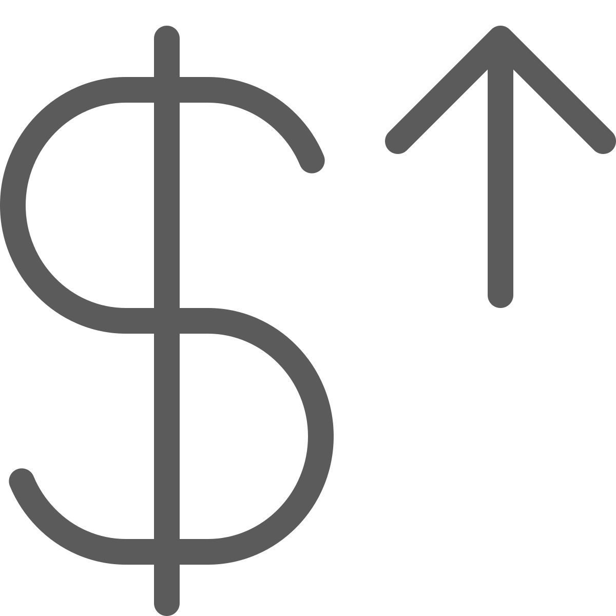 dollaro dei soldi icon