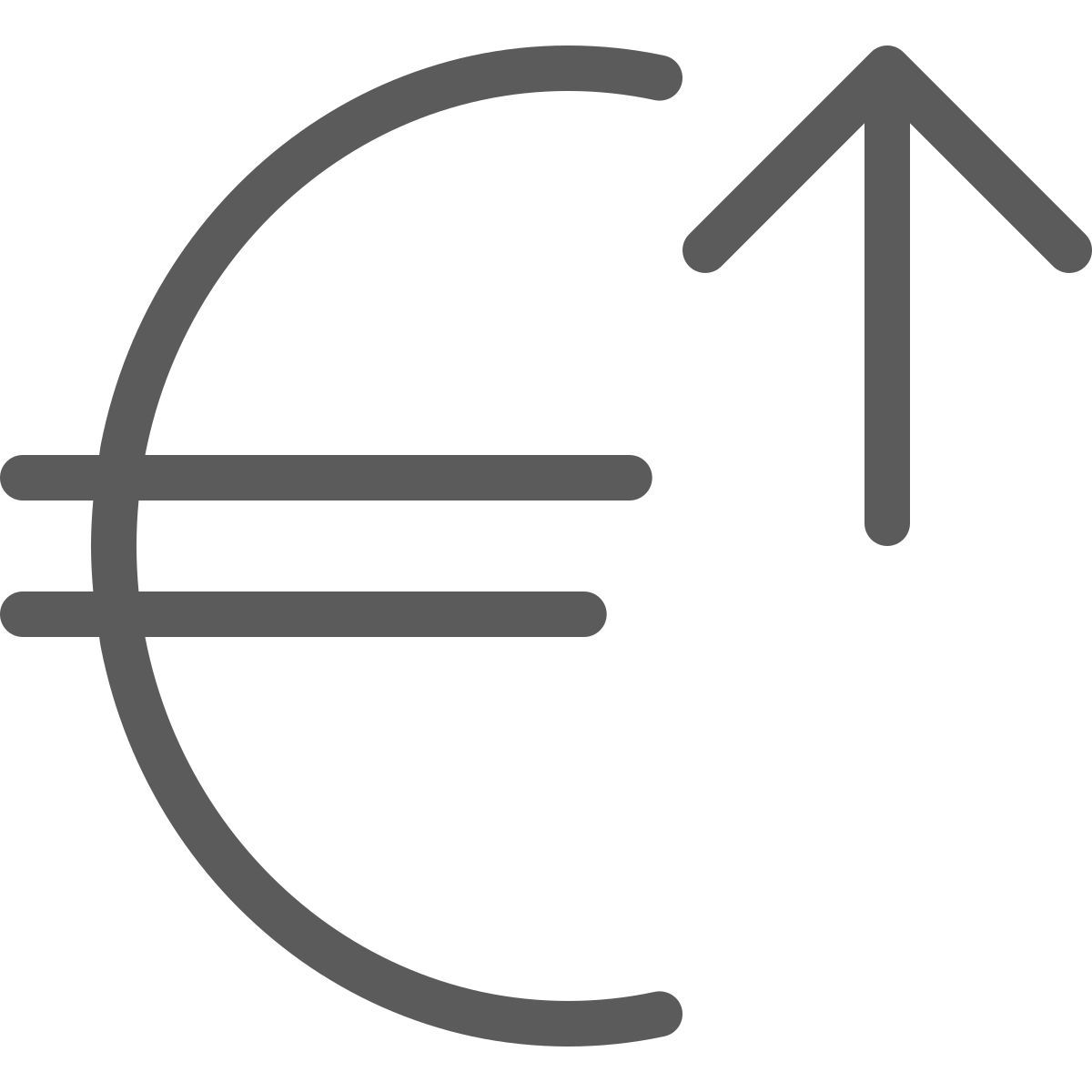 euro icon