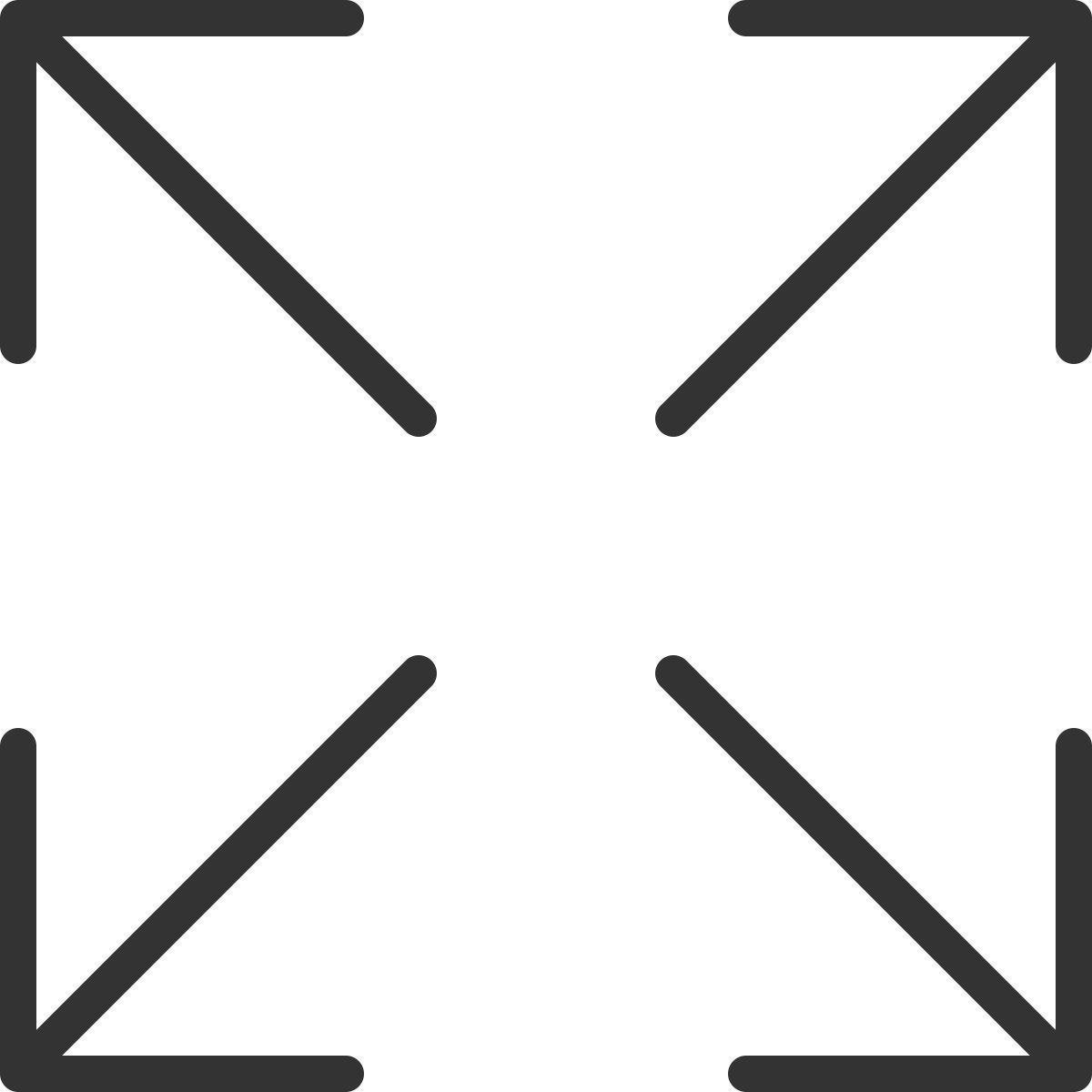 拡大 icon