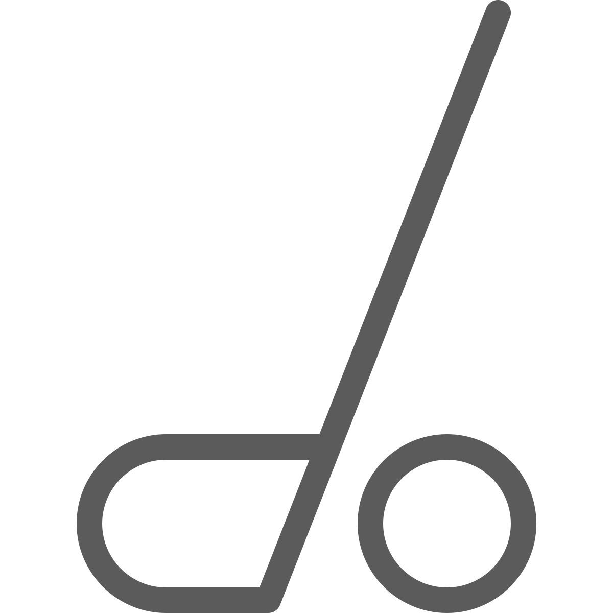 golf icon