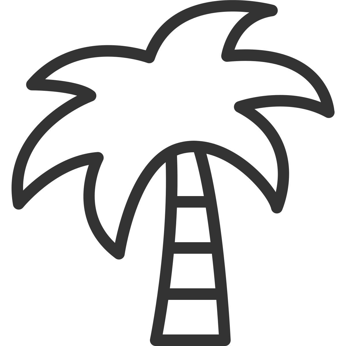 palm tree icon