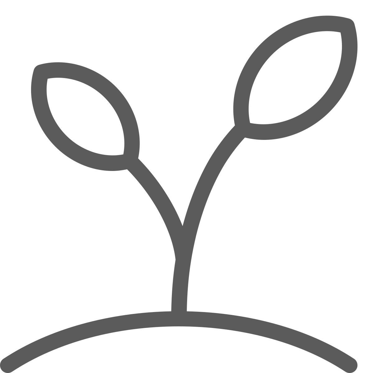 plant icon