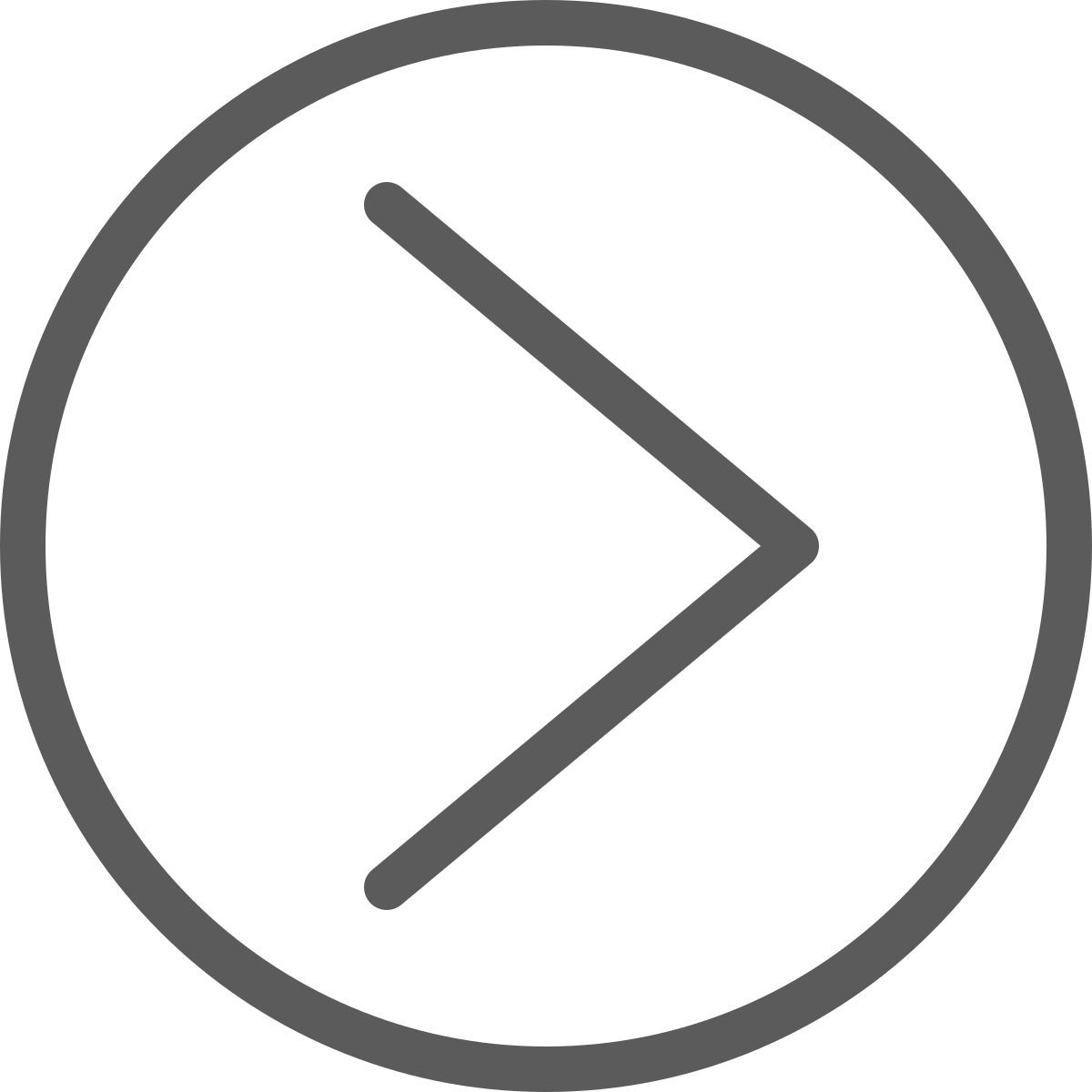 flecha correcta icon