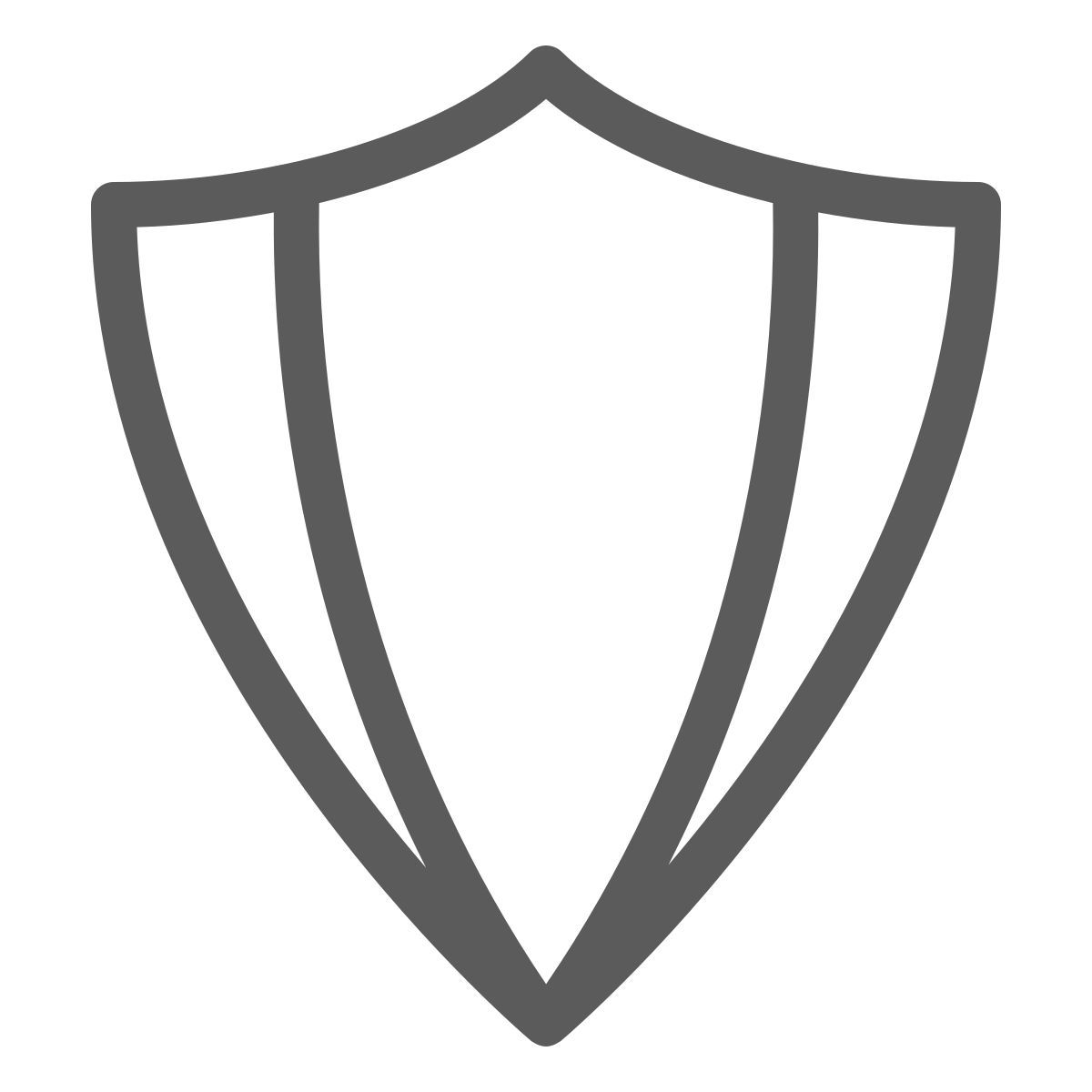щит icon