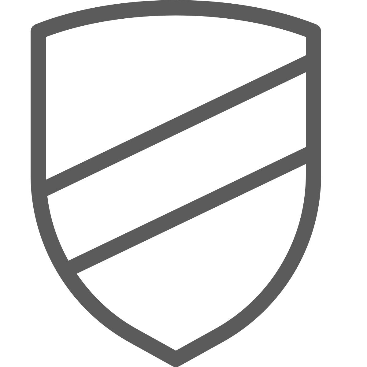 shield icon