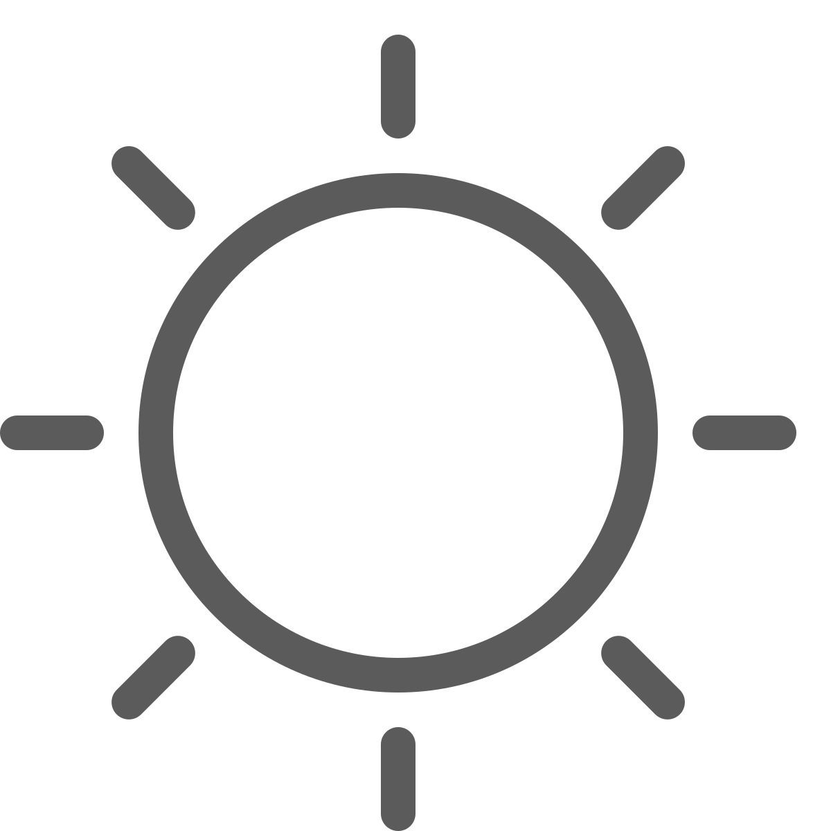 sole icon