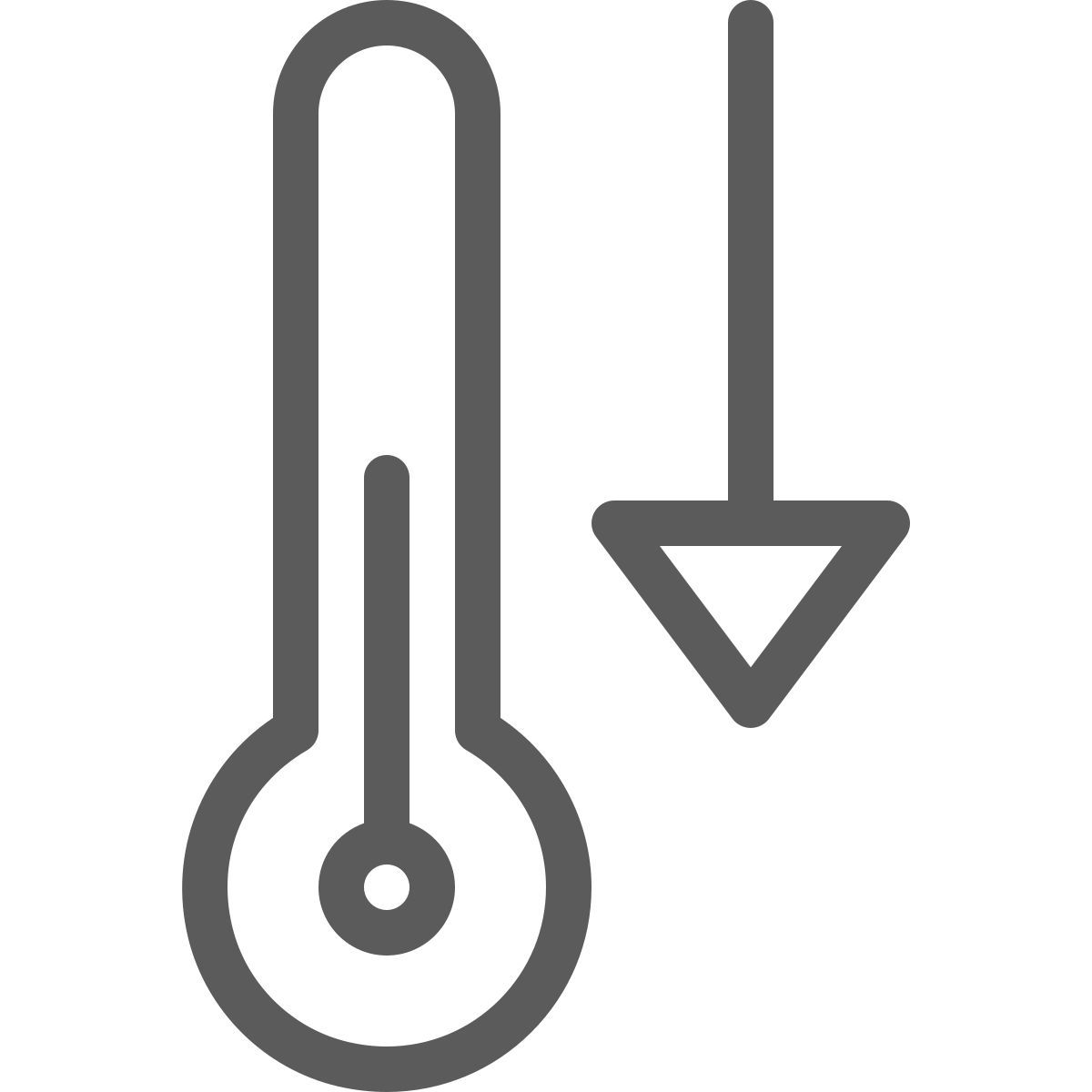 thermometer icon