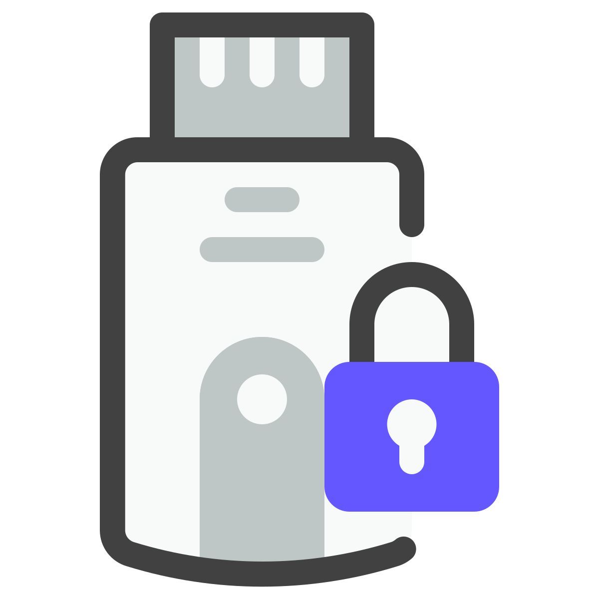 flashdisk icon