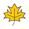 external Maple-nature-and-outdoors-edtim-lineal-color-edtim icon