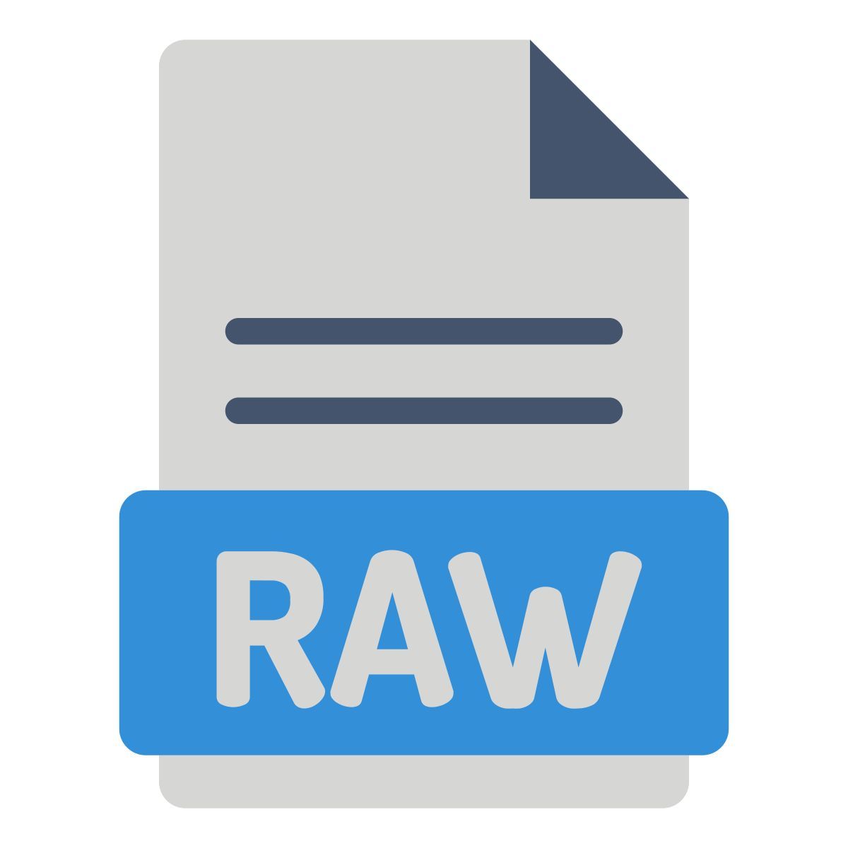 Raw File icon
