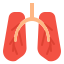 external lung-medical-fauzidea-flat-fauzidea icon