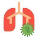 external lungs-pandemic-fauzidea-flat-fauzidea icon