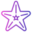 external starfish-summer-fauzidea-gradient-fauzidea icon