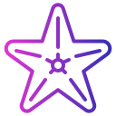 external starfish-summer-fauzidea-gradient-fauzidea icon