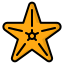 external starfish-summer-fauzidea-outline-color-fauzidea icon