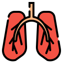 external lung-medical-fauzidea-outline-color-fauzidea icon