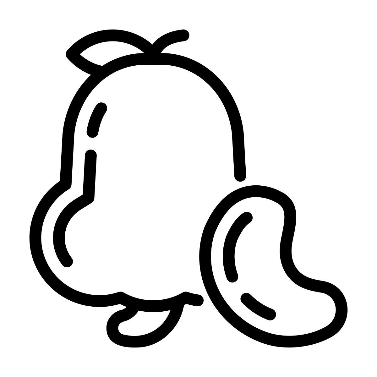 cashew icon