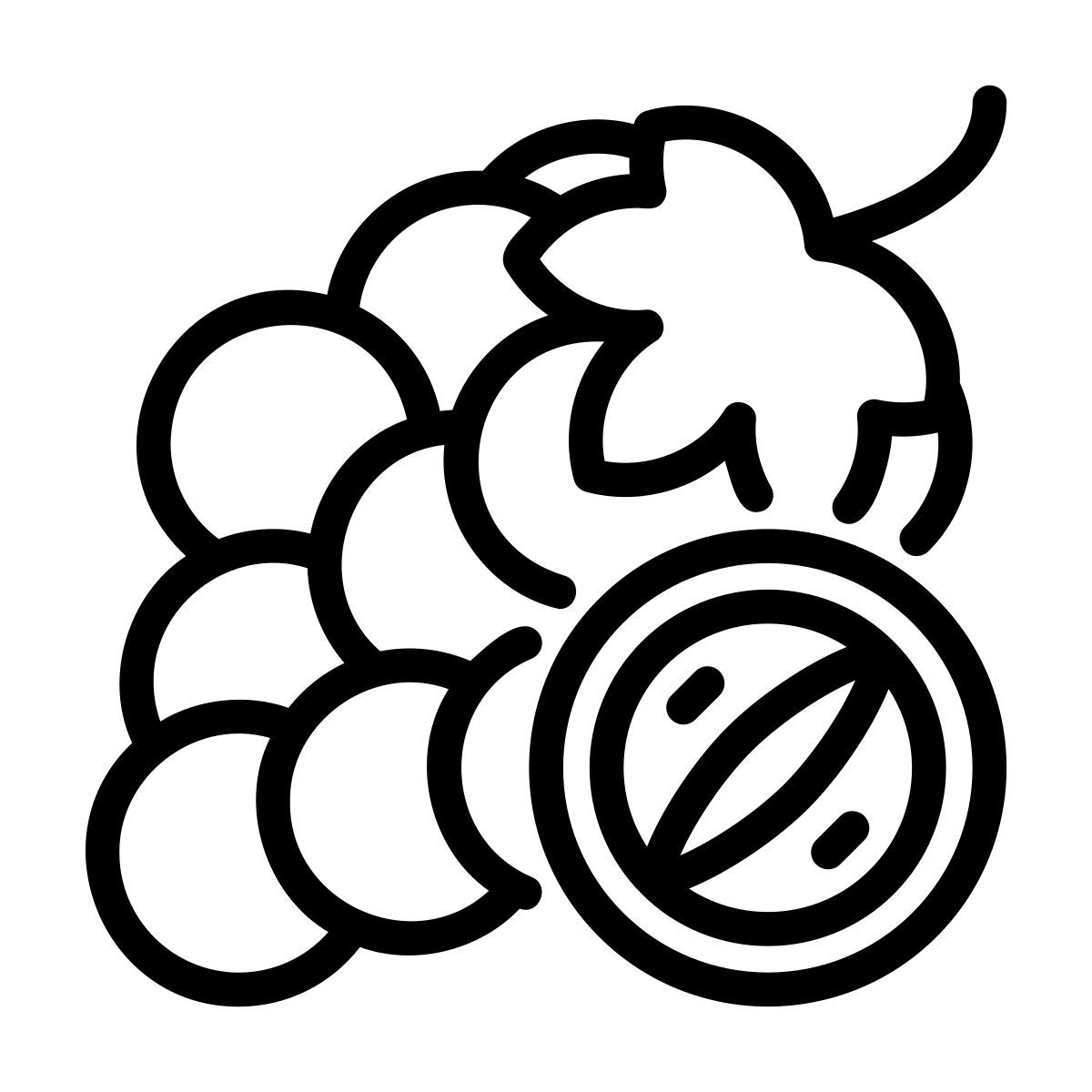 grapes icon