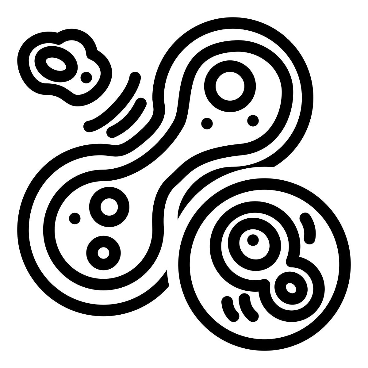 mitosis icon