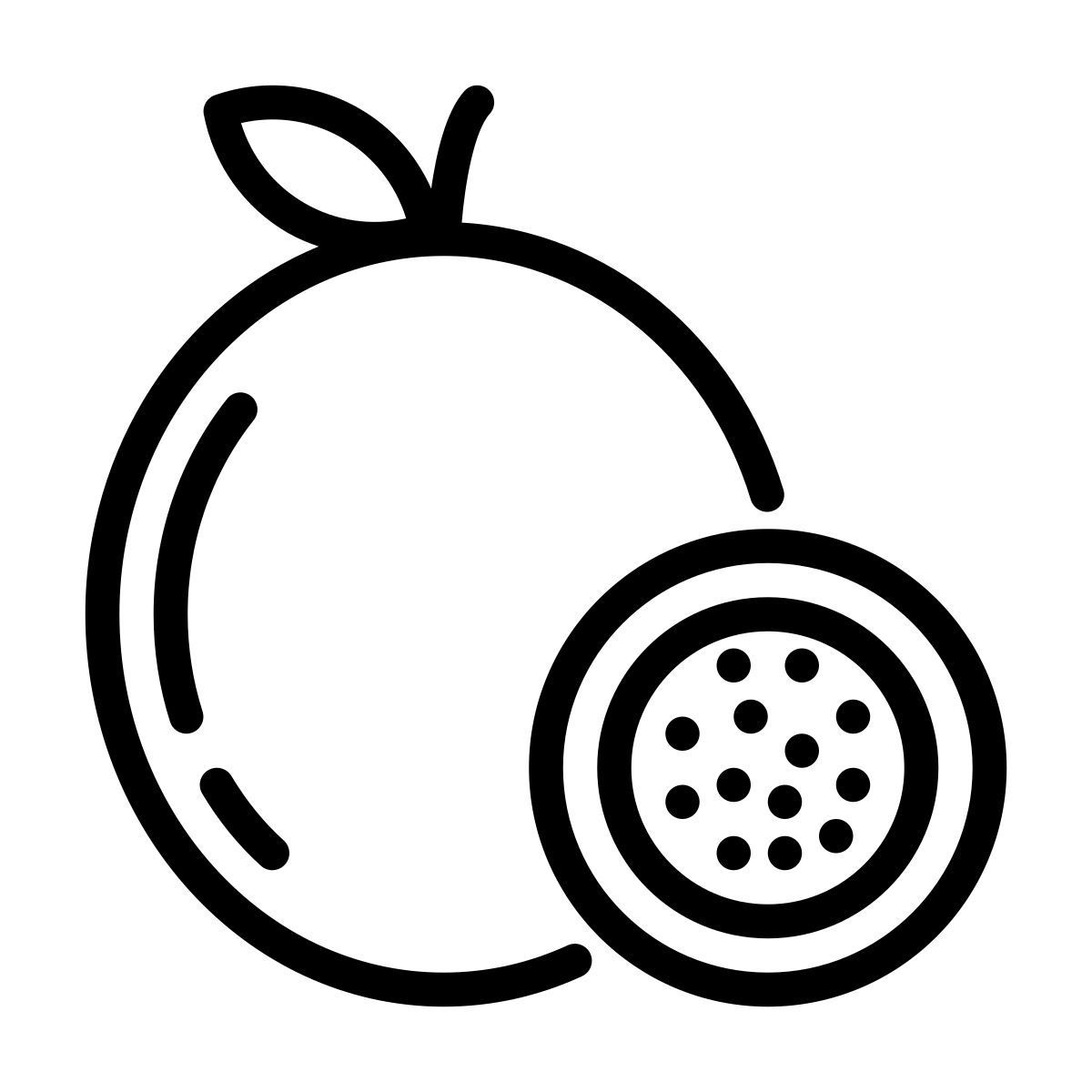 passion fruit icon