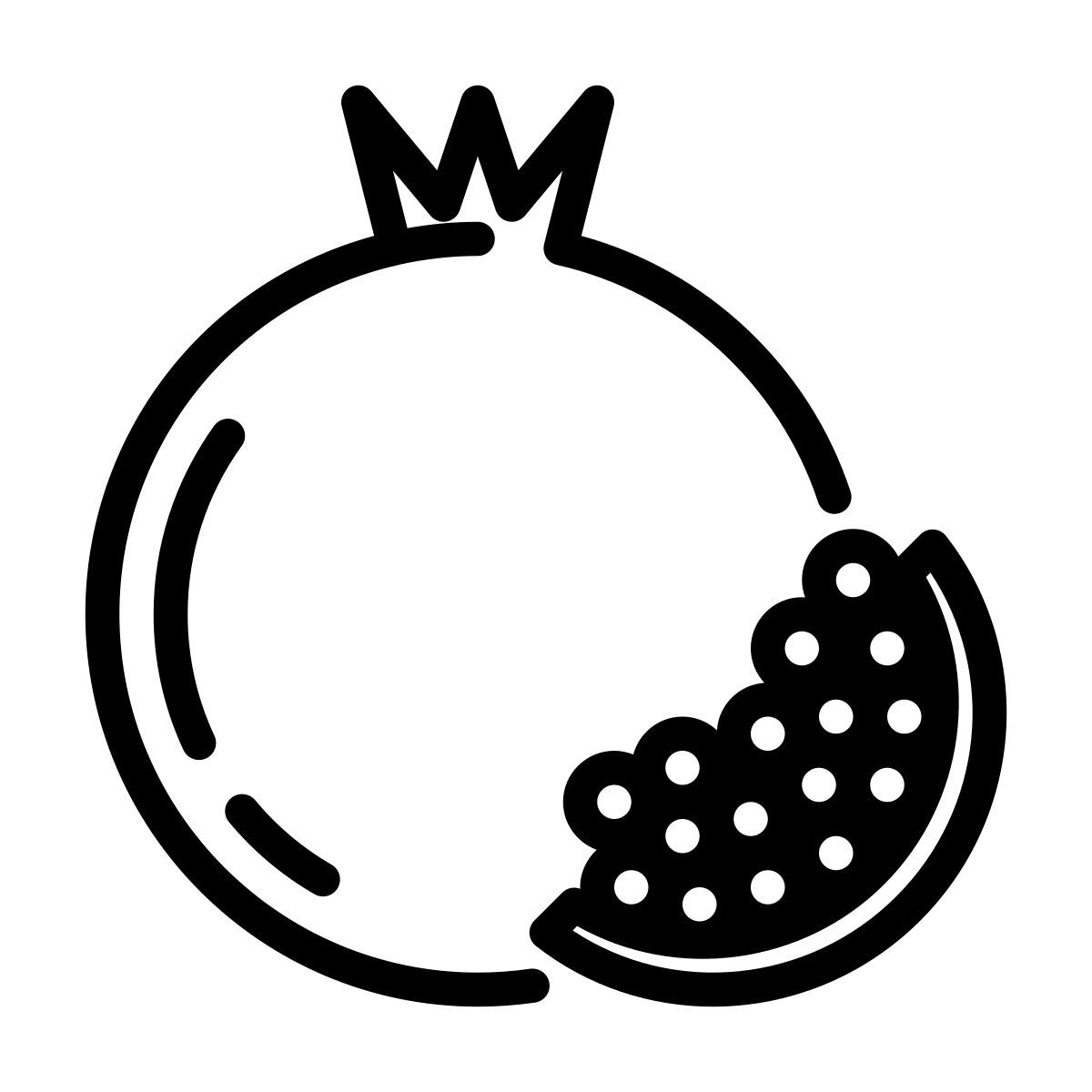 pomegranate icon