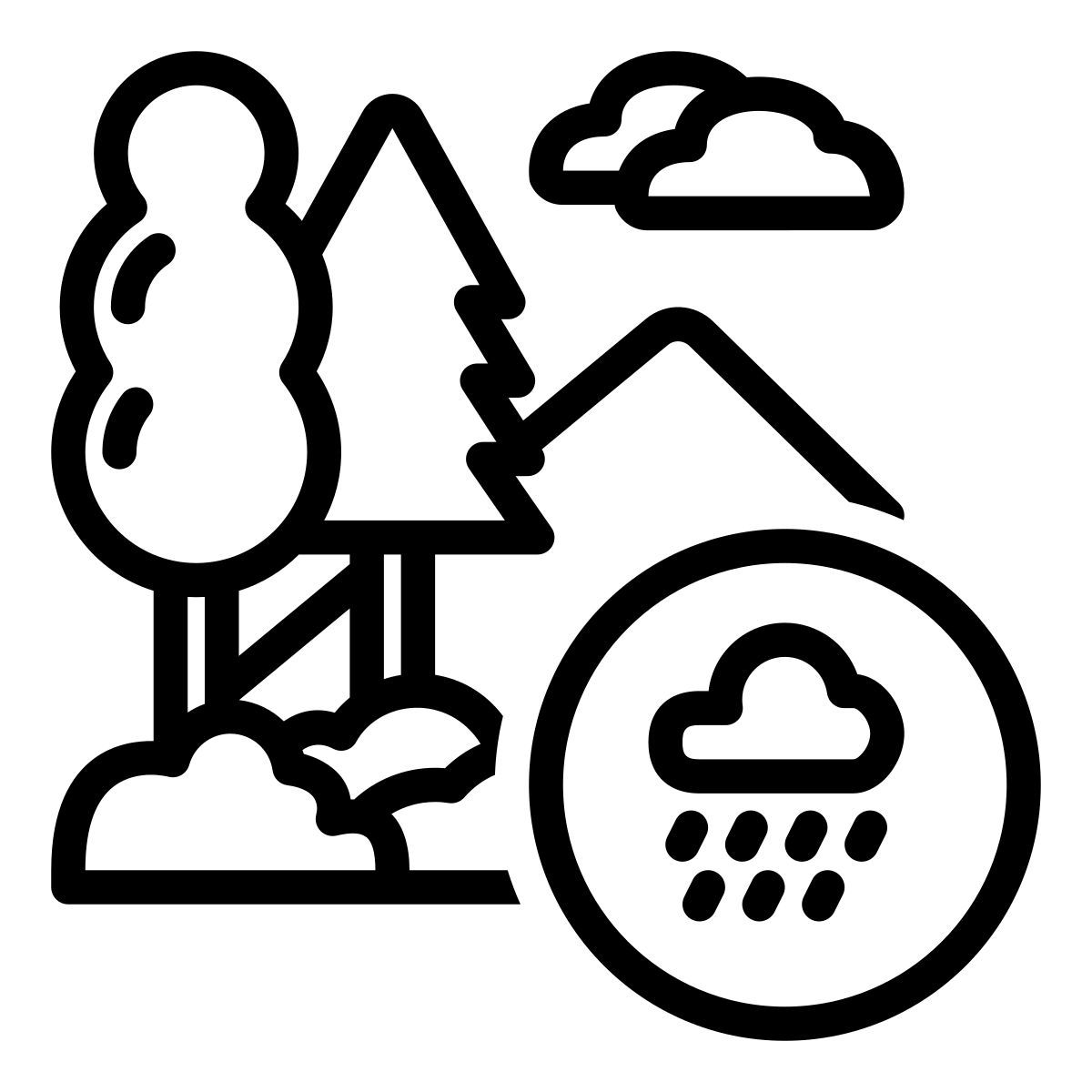 rainy forest icon