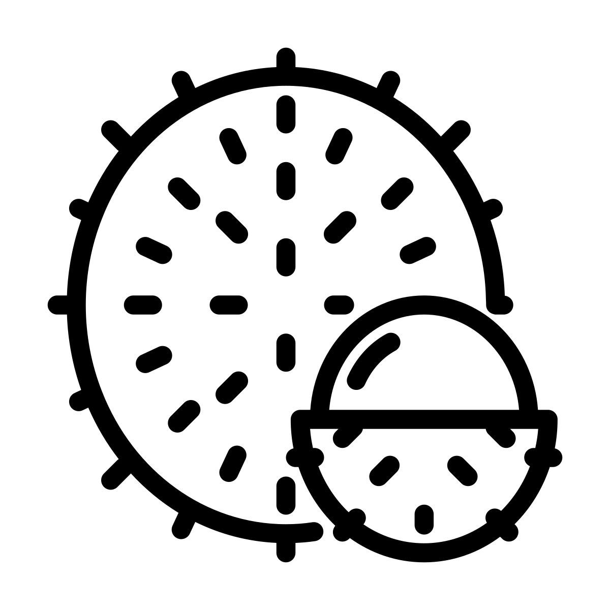 rambutan icon