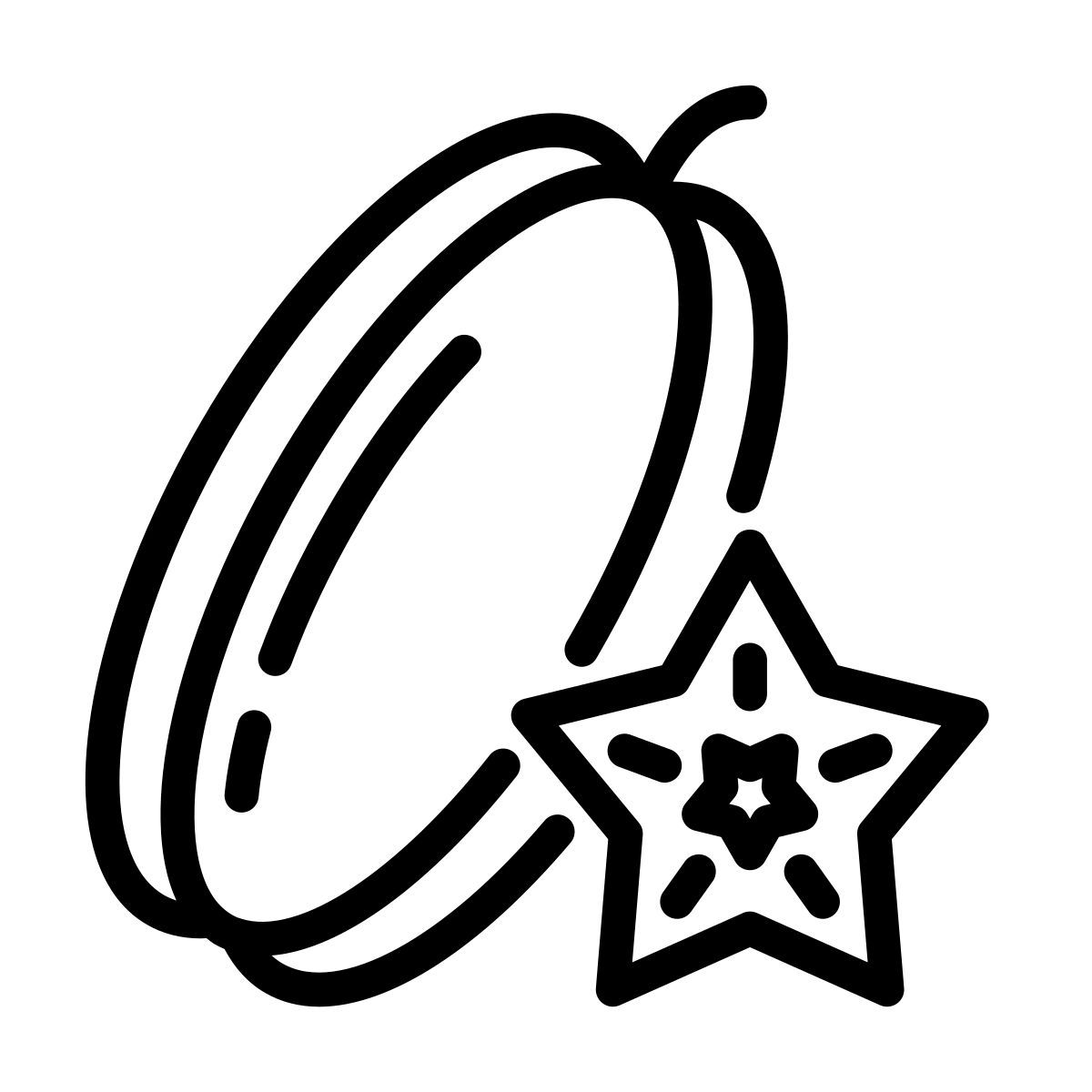 star fruit icon
