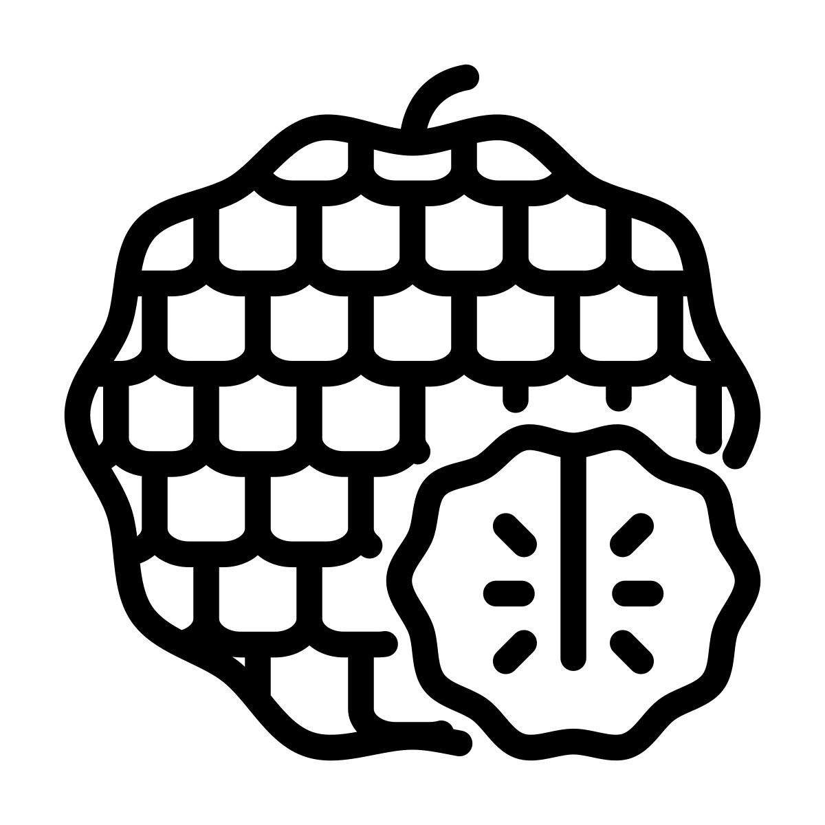sugar apple icon