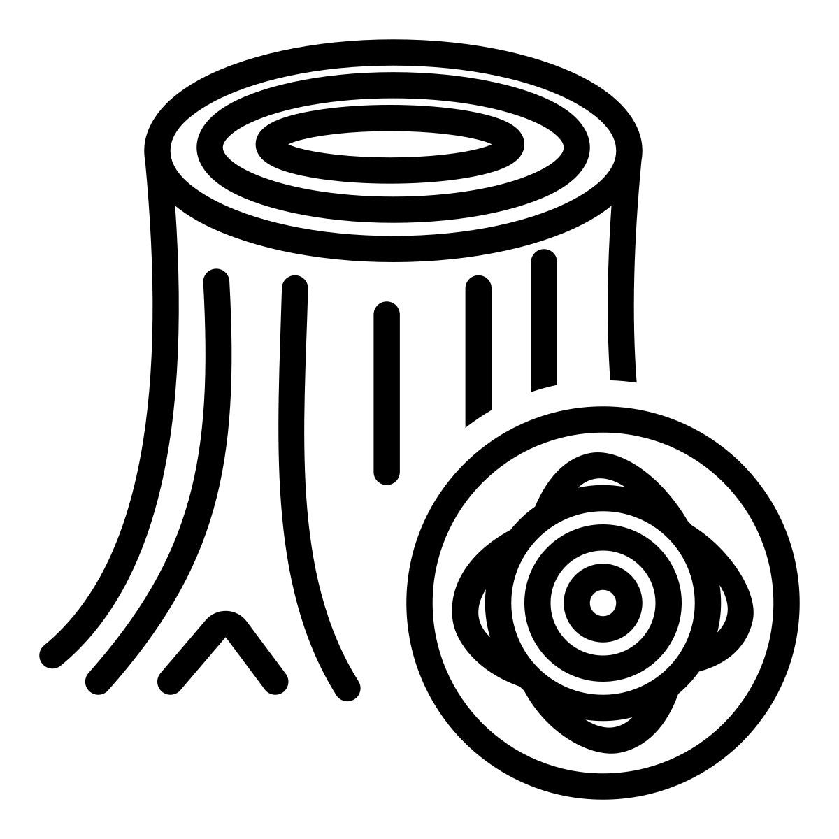 tree ring icon