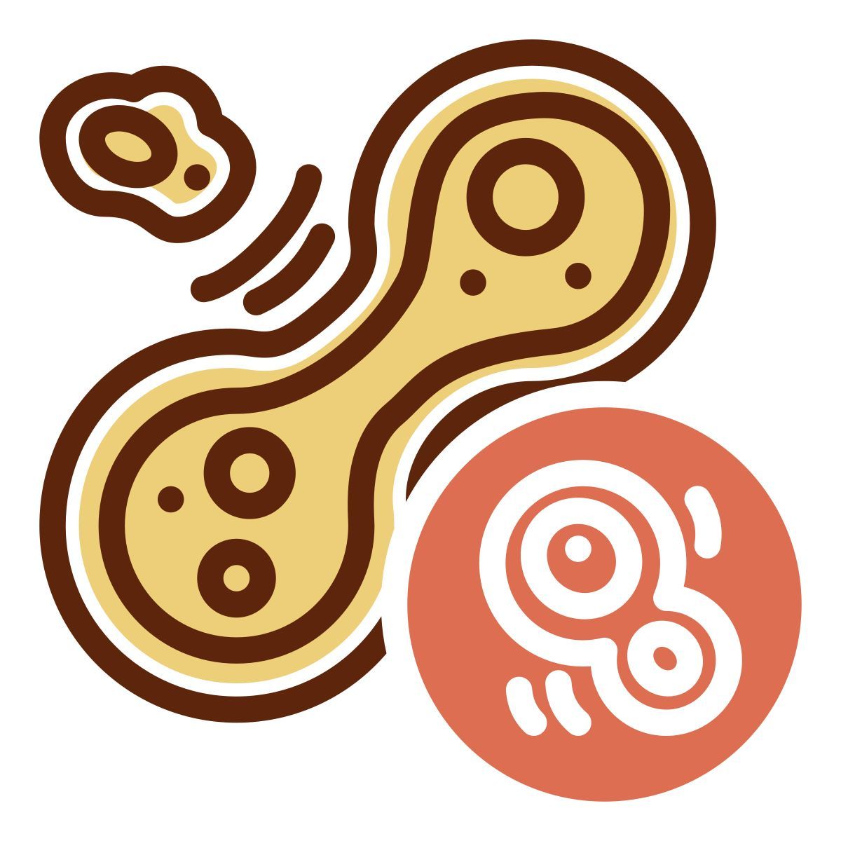 mitosis icon