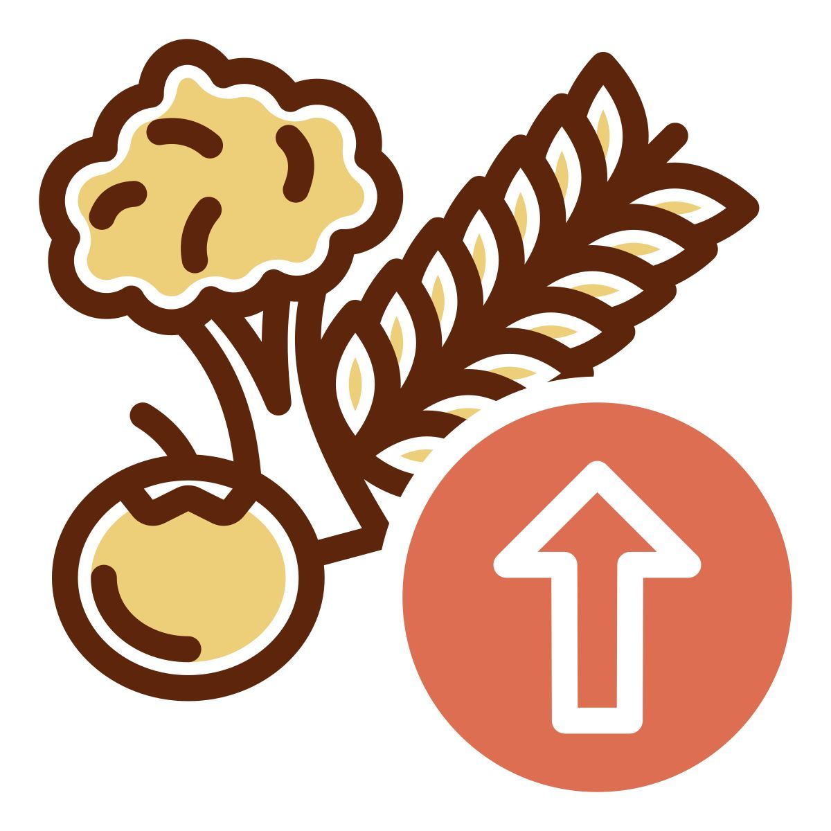 high fiber icon