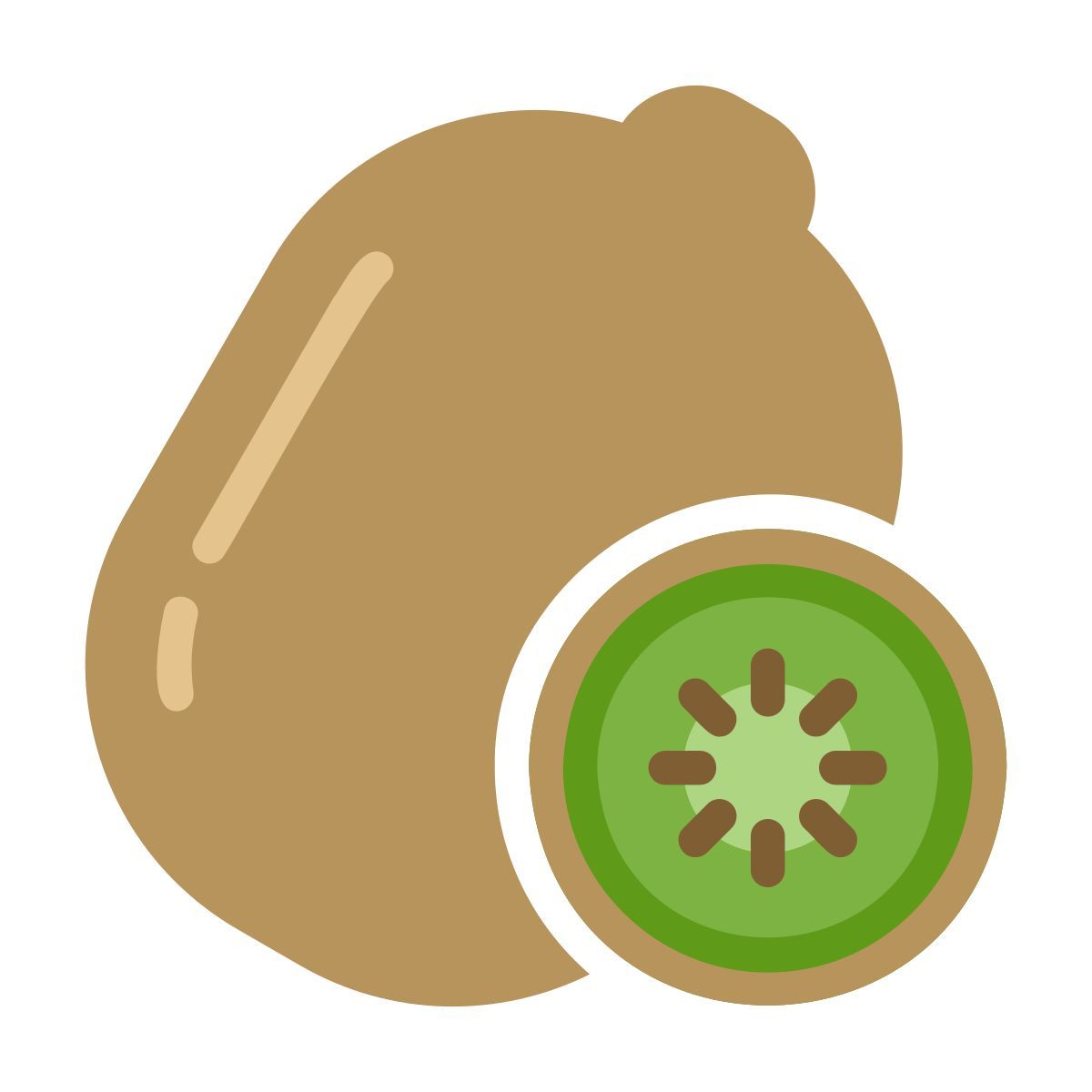 kiwi icon