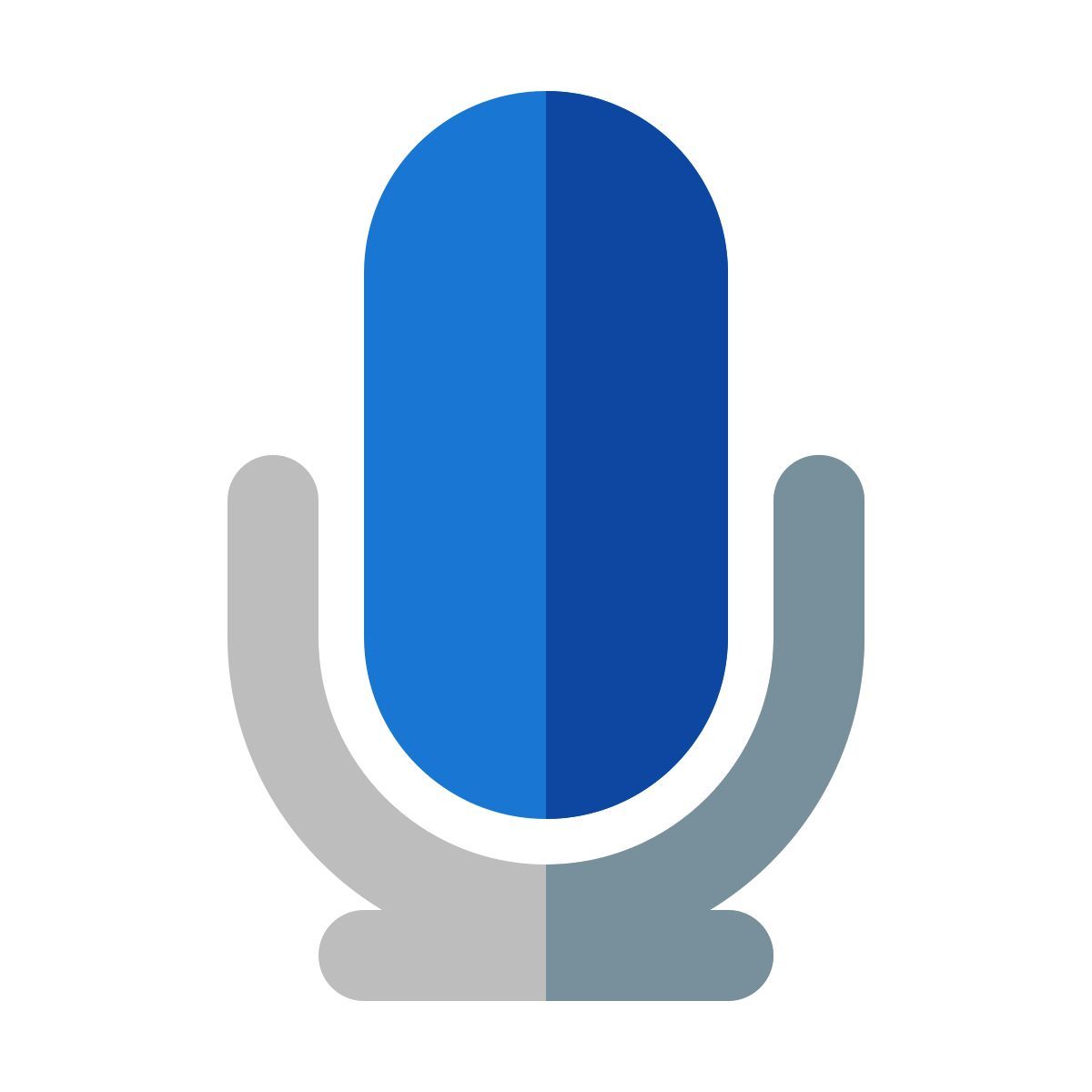 microphone icon