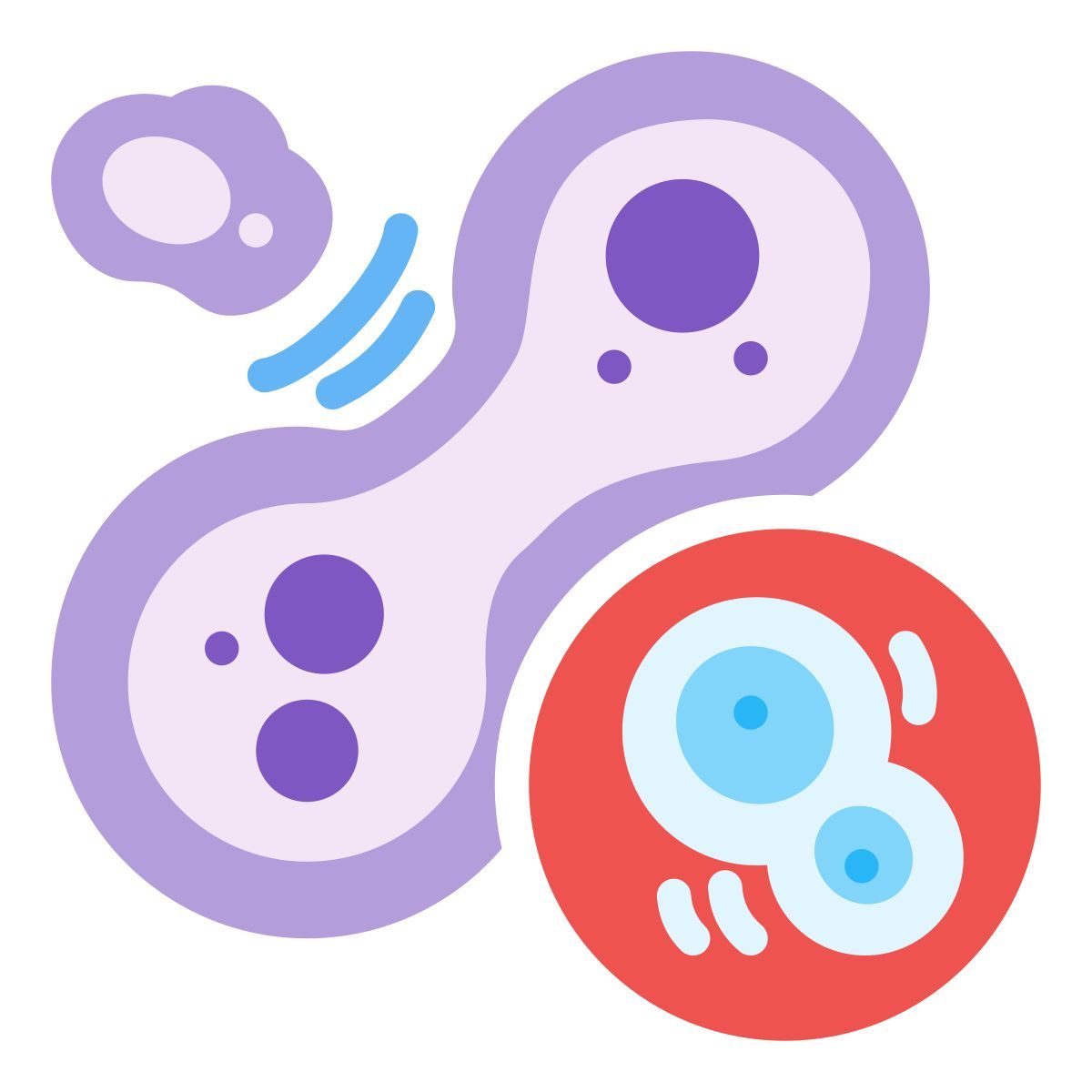 mitosis icon