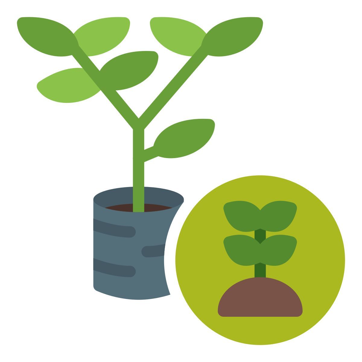 sprout icon